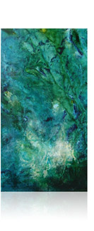 Variation 0930-1 :: nov 09 :: 50 x 27 :: acrylique, encres sur toile ::